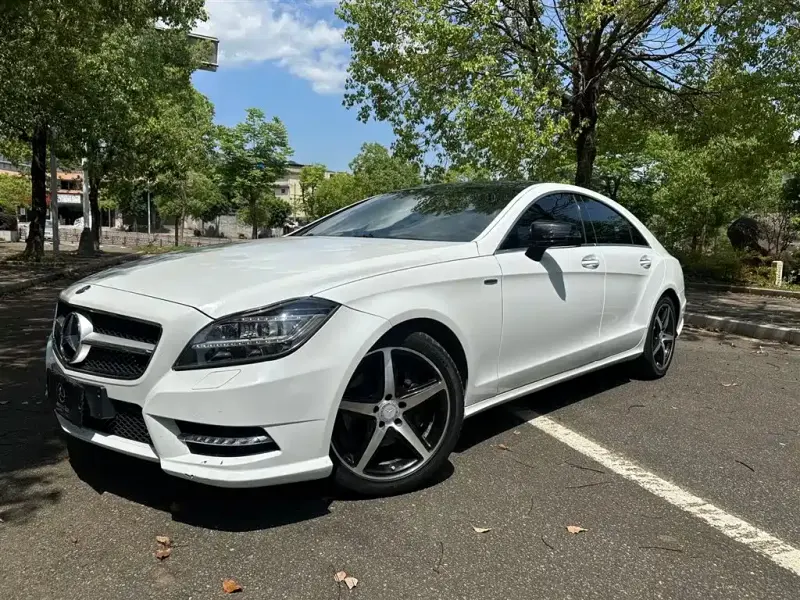 Mercedes-Benz CLS, 2013 — фото 1