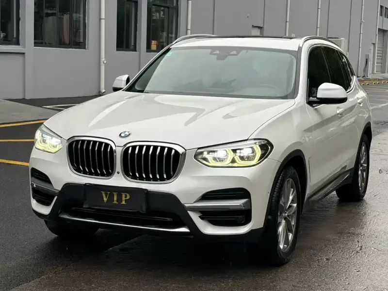 BMW X3, 2019 — фото 1