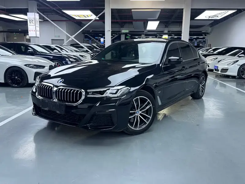 BMW 5 Series, 2020