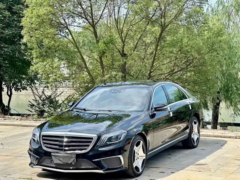 Mercedes-Benz S-Class, 2014 — фото 1