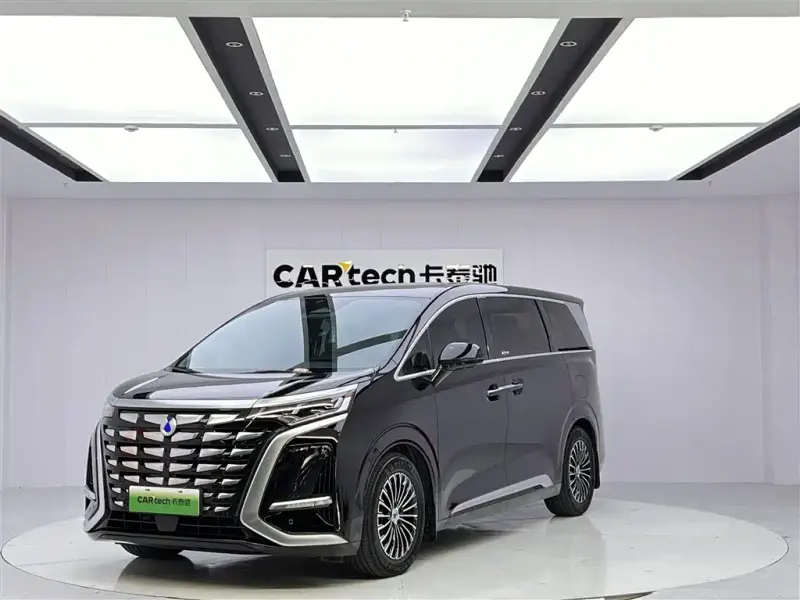 Denza D9, 2024