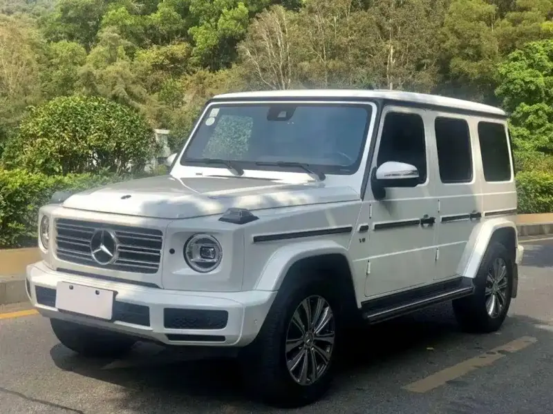 Mercedes-Benz G-Class, 2019 — фото 1