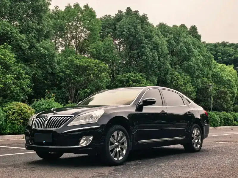 Hyundai Equus, 2010