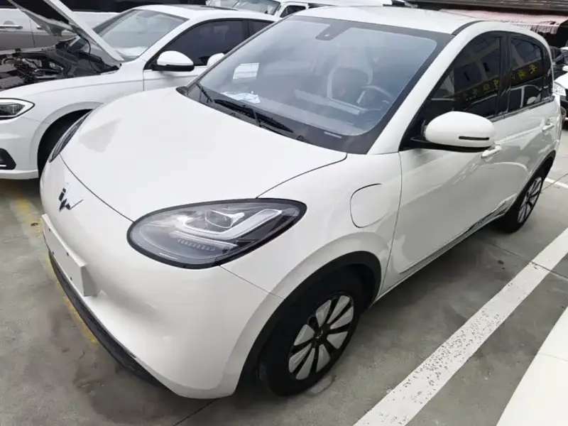 Wuling Bingo, 2023