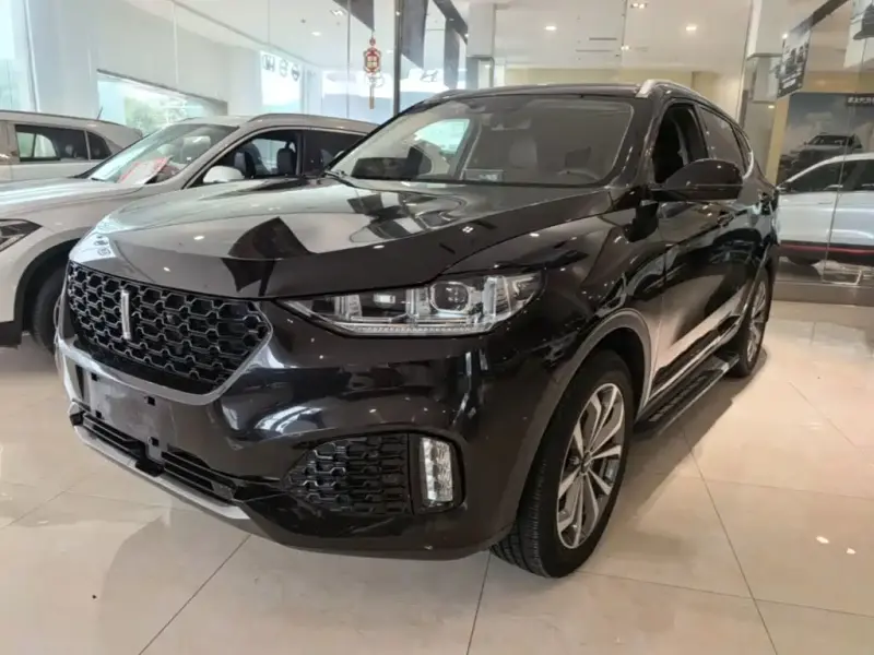 Wey VV6, 2019