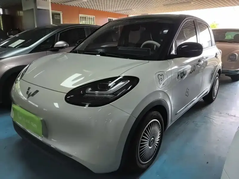 Wuling Bingo, 2024