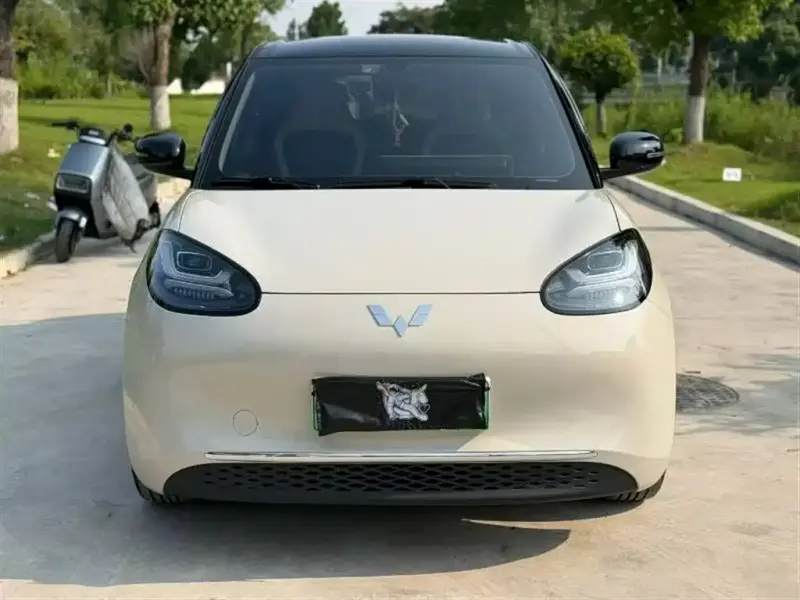 Wuling Bingo, 2024