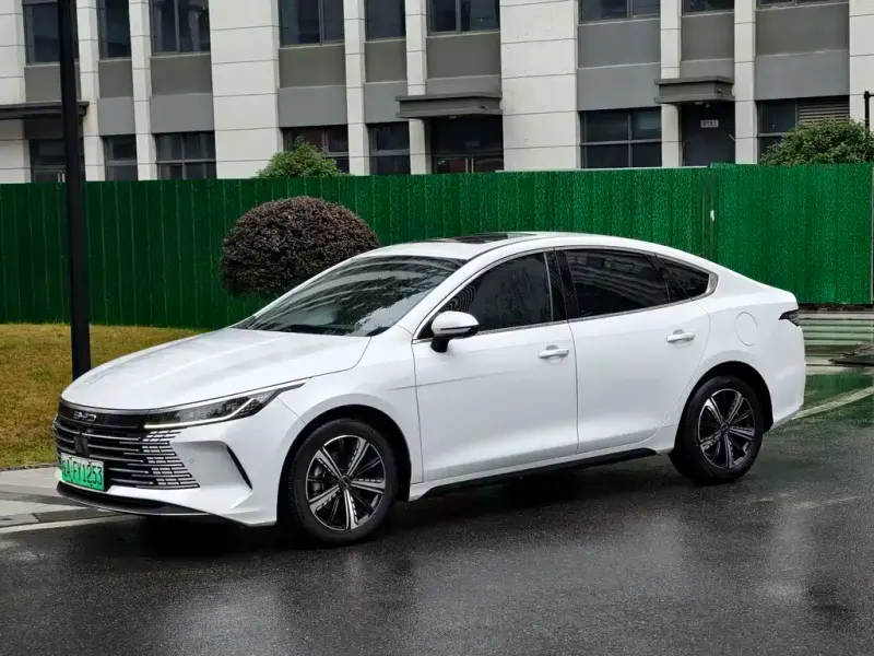 BYD Destroyer 05, 2023 — фото 1