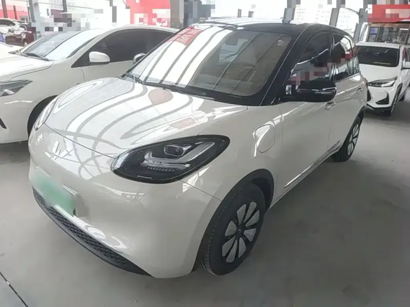 Wuling Bingo, 2024