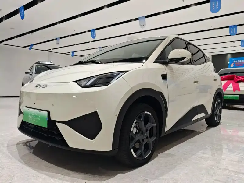 BYD Seagull, 2025