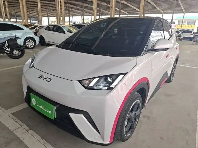 BYD Seagull, 2024