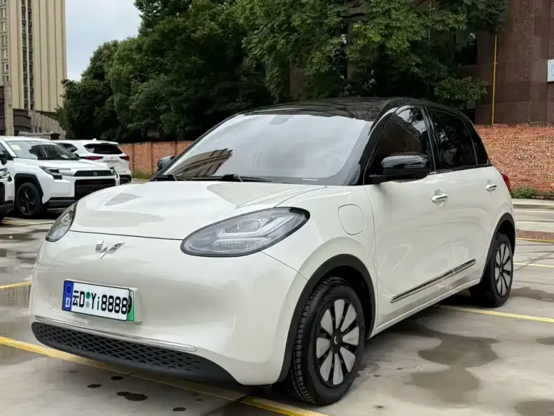 Wuling Bingo, 2024