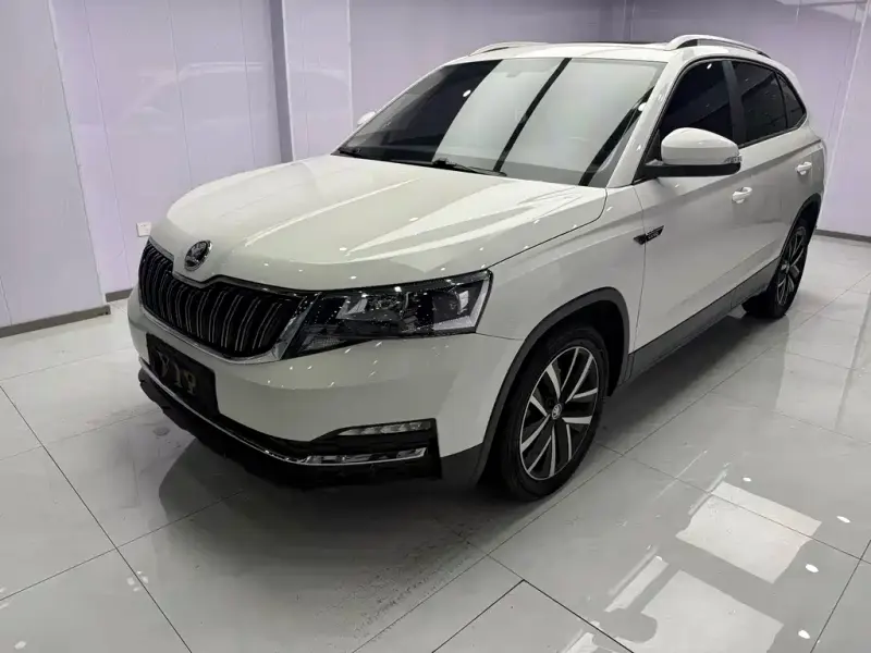Skoda Kamiq, 2022 — фото 1