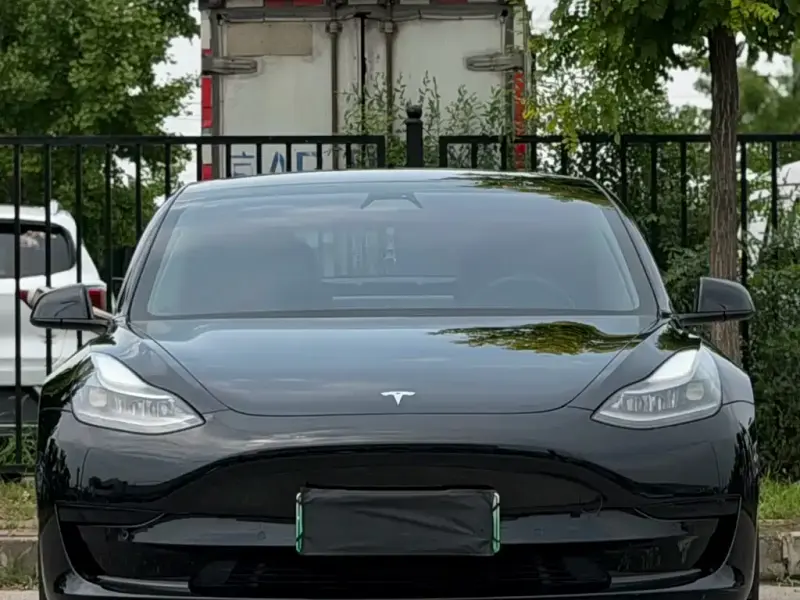 Tesla Model 3, 2021
