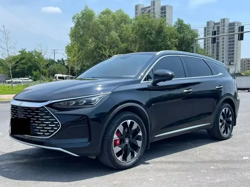 BYD Tang New Energy, 2024