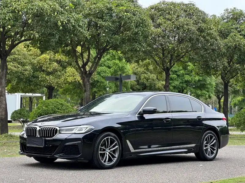 BMW 5 Series, 2021