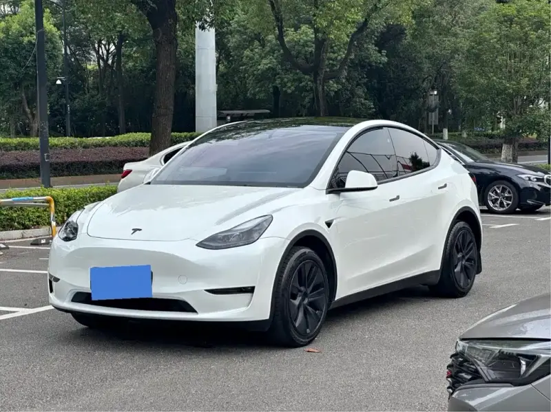 Tesla Model Y, 2024