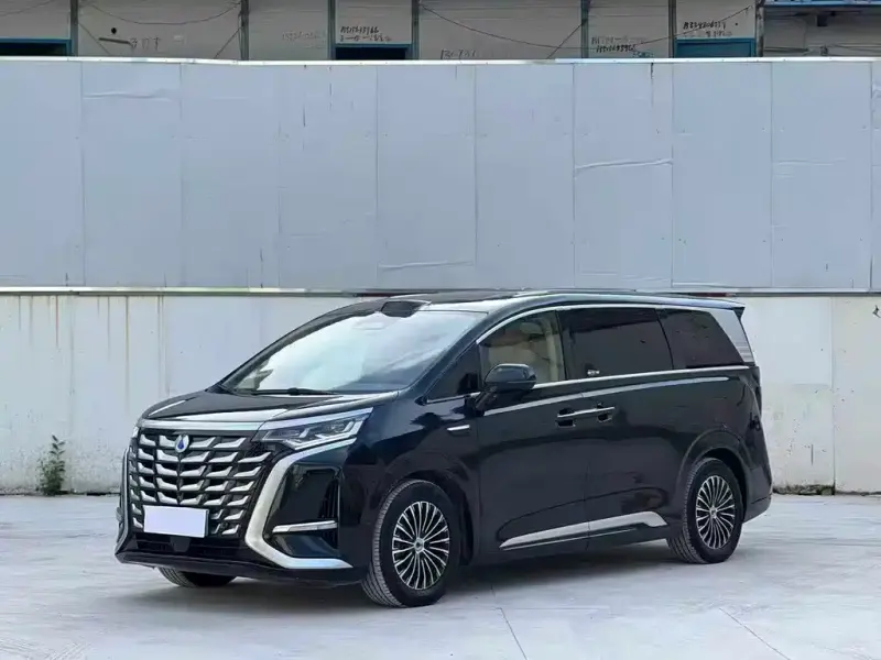 Denza D9, 2025