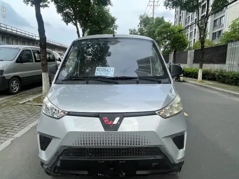 Wuling EV50, 2020