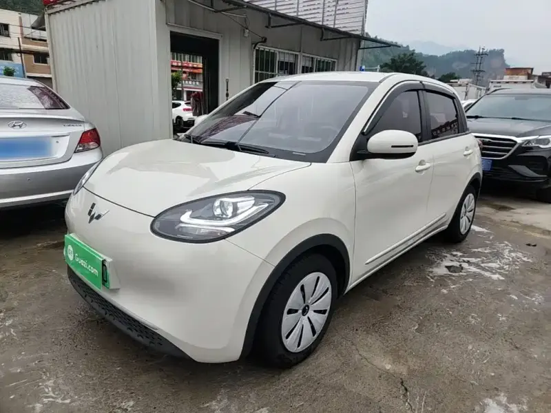 Wuling Bingo, 2023