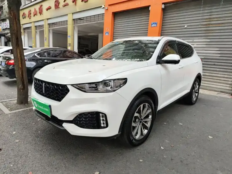 Wey VV6, 2019