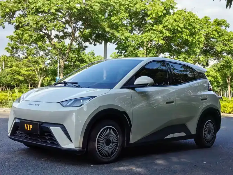 BYD Seagull, 2023