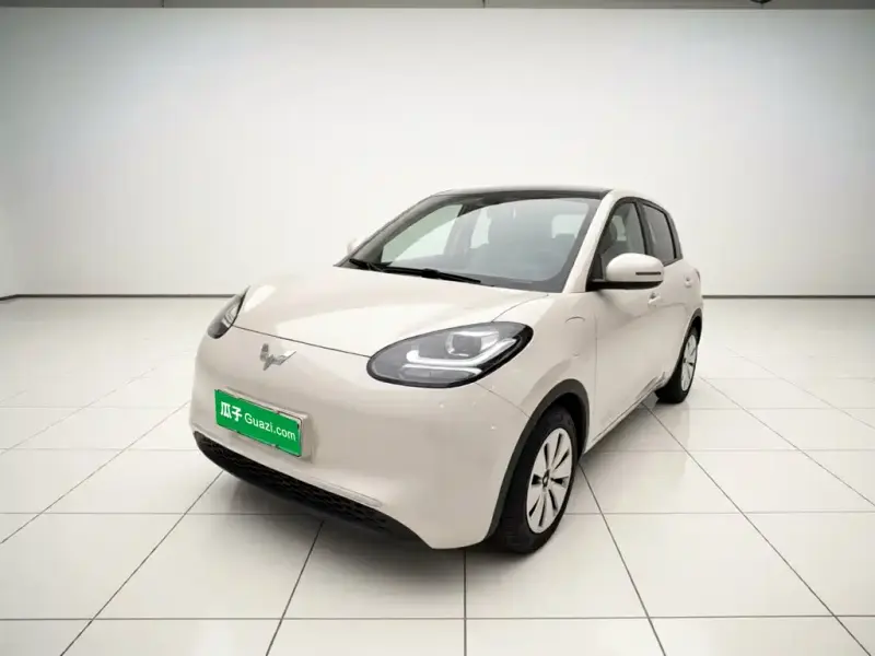 Wuling Bingo, 2023