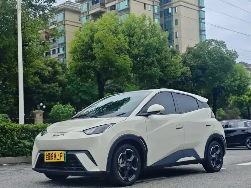 BYD Seagull, 2023