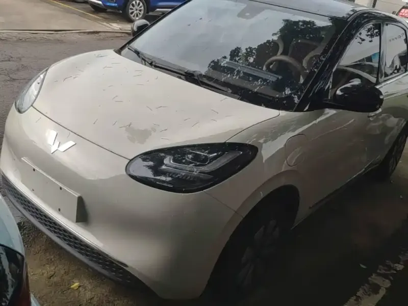 Wuling Bingo, 2024