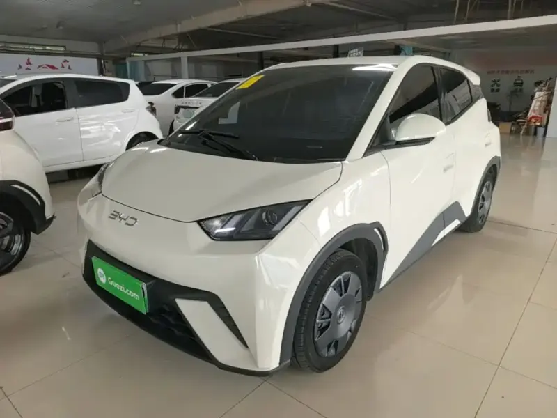 BYD Seagull, 2024