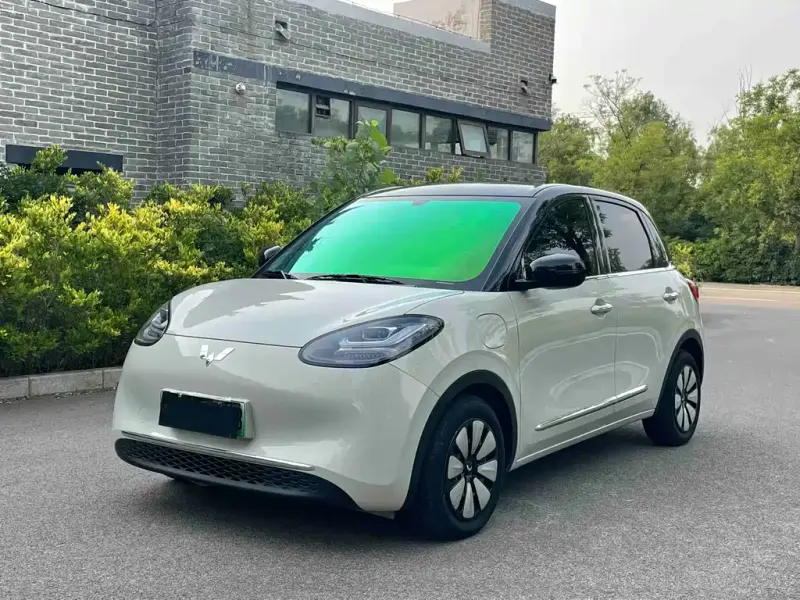 Wuling Bingo, 2024