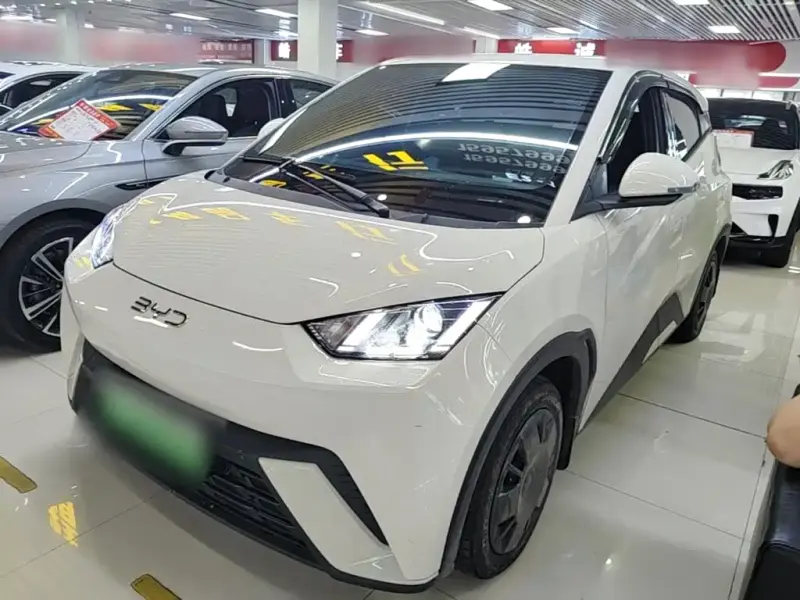 BYD Seagull, 2025