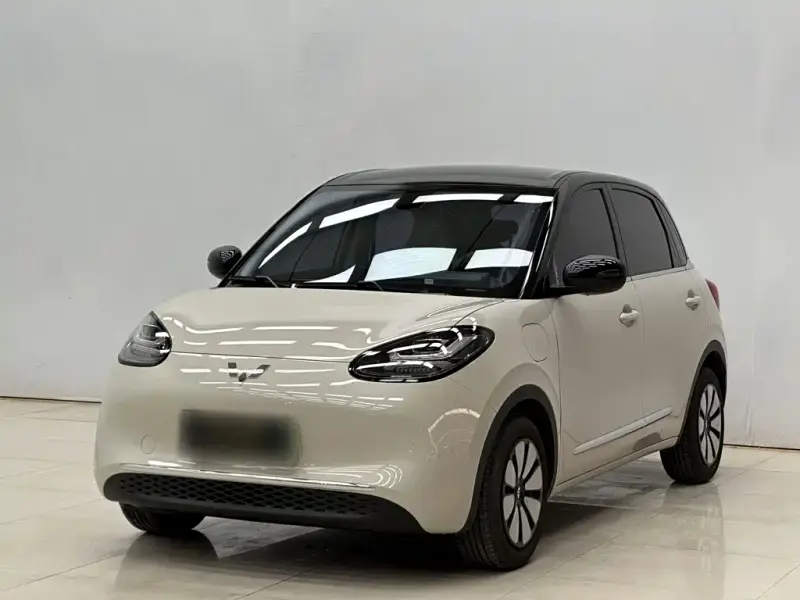 Wuling Bingo, 2025