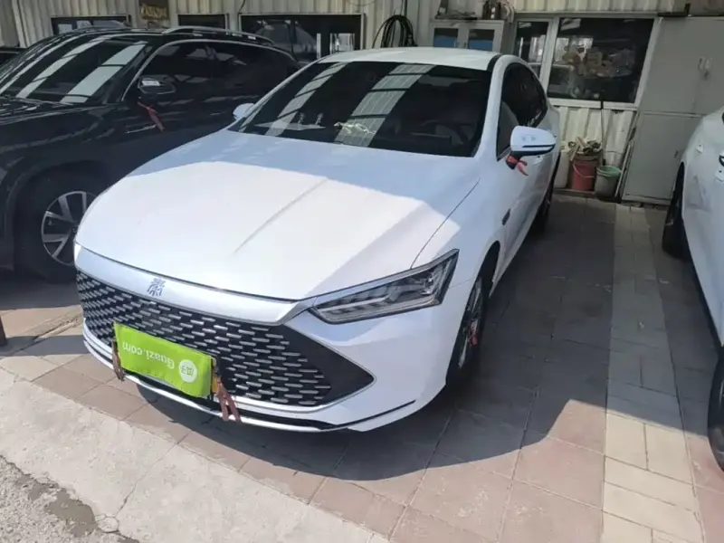 BYD Qin PLUS, 2024
