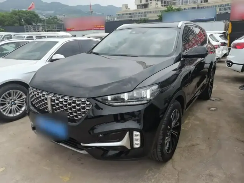 Wey VV6, 2021