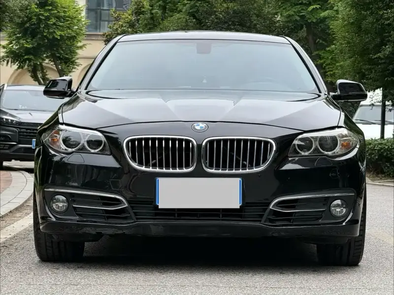 BMW 5 Series, 2014 — фото 1