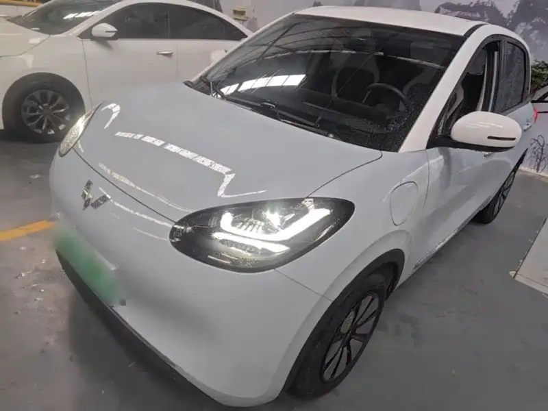 Wuling Bingo, 2024