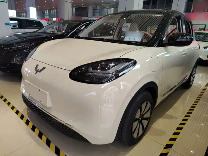 Wuling Bingo, 2026