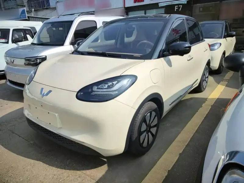 Wuling Bingo, 2025