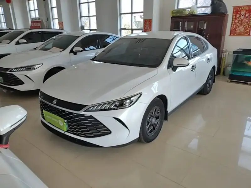 BYD Qin PLUS, 2025
