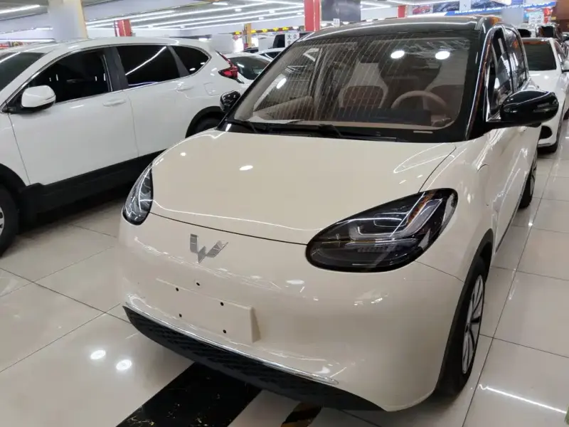 Wuling Bingo, 2025