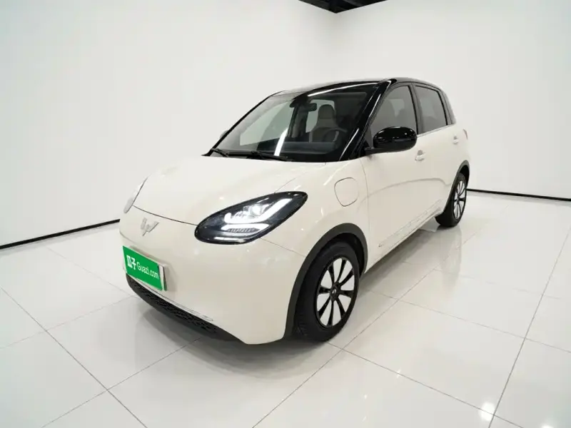 Wuling Bingo, 2024