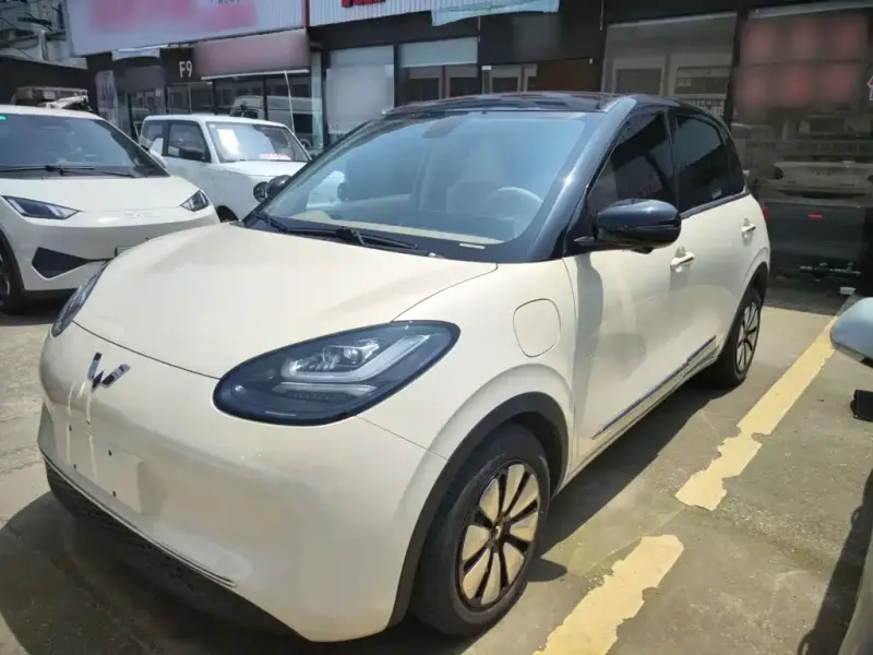 Wuling Bingo, 2025