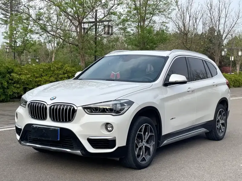 BMW X1, 2018 — фото 1