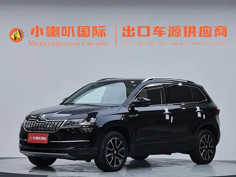 Skoda Karoq, 2019