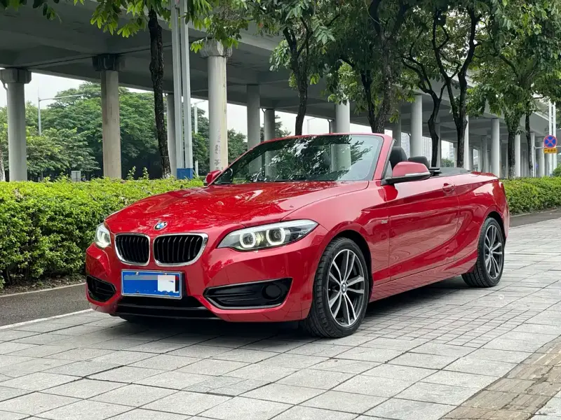 BMW 2 Series (Import), 2018