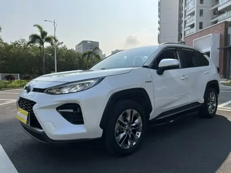 Toyota Wildlander, 2020