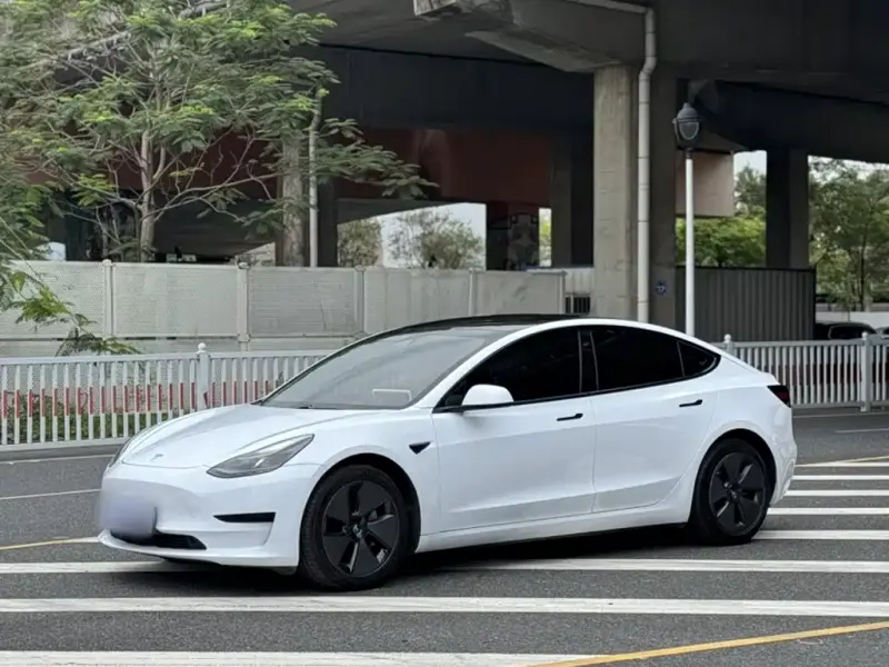 Tesla Model 3, 2021