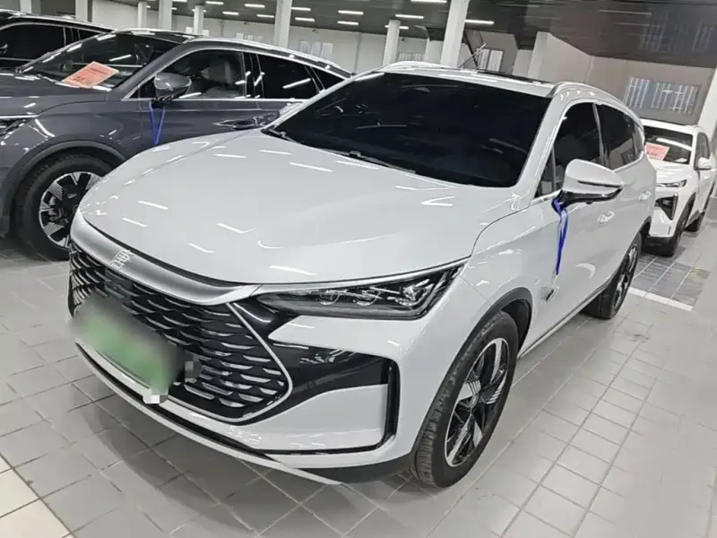 BYD Tang New Energy, 2024
