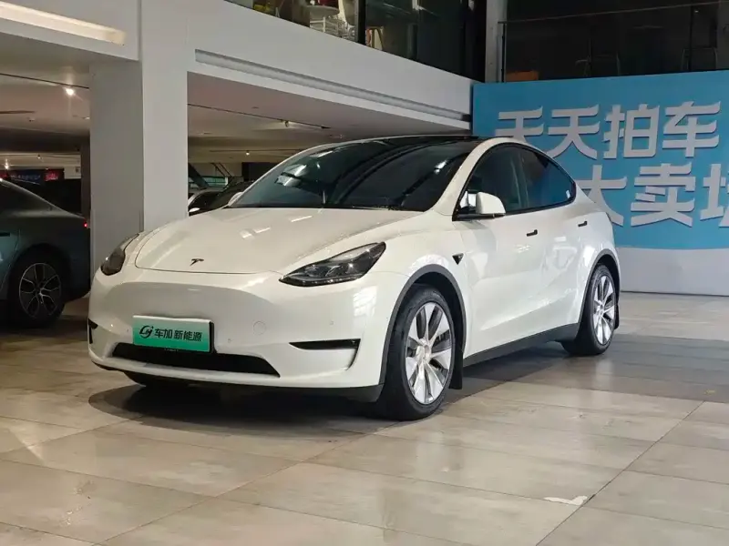 Tesla Model Y, 2021